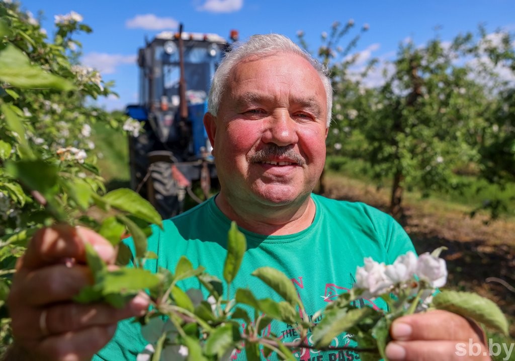 Один раз в год... Как под Брестом цветут сады