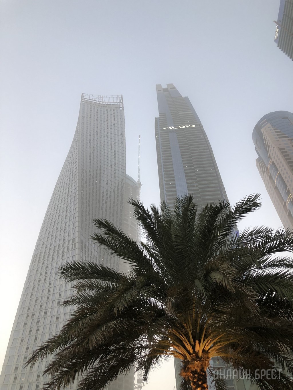 Наши в Дубае! Брестчанка рассказала о спонтанном переезде в ОАЭ, новой работе, ценах на жилье и продукты