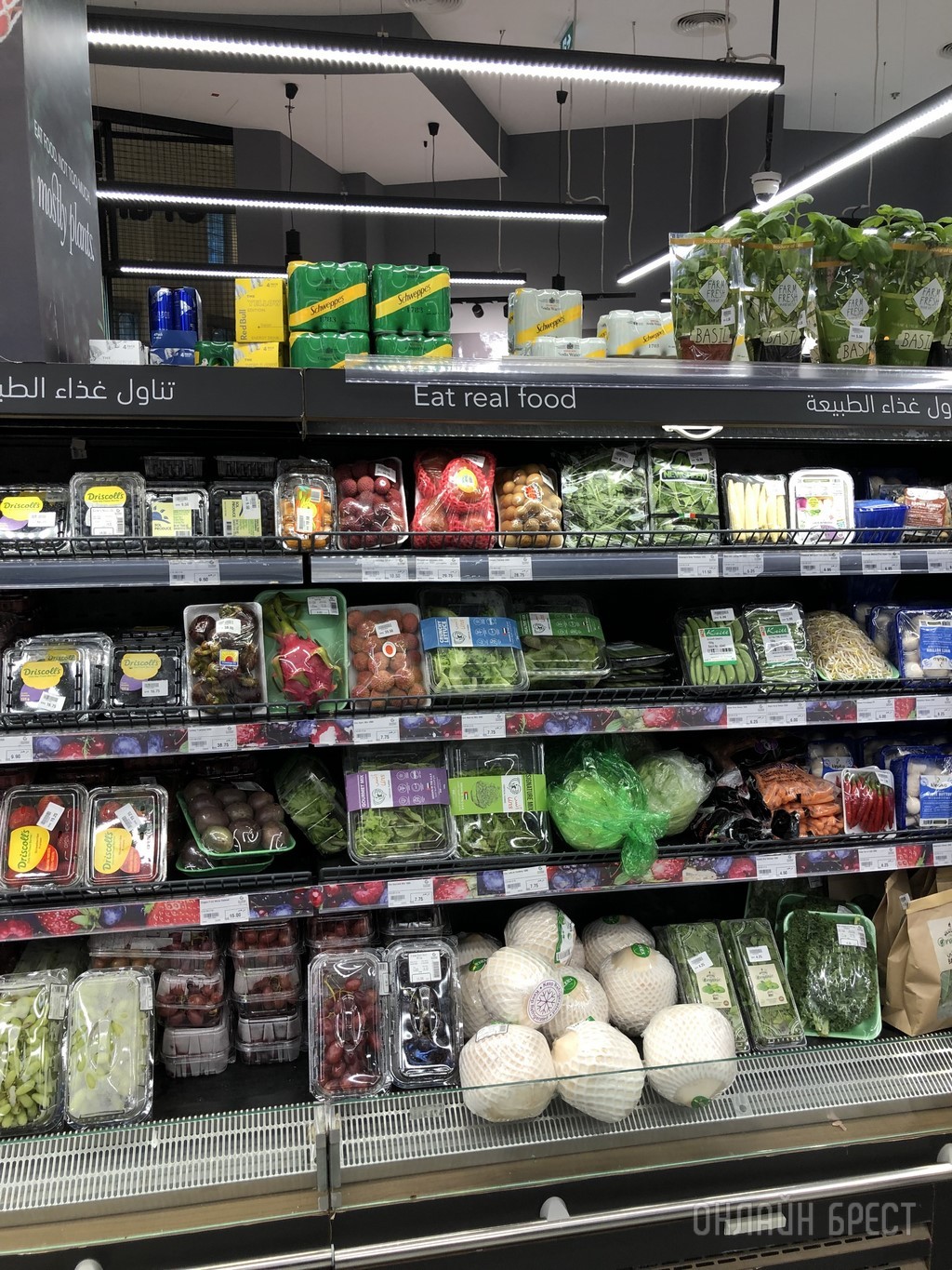 Наши в Дубае! Брестчанка рассказала о спонтанном переезде в ОАЭ, новой работе, ценах на жилье и продукты