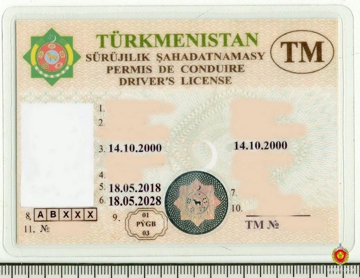В Беларуси ГАИ остановила водителя с туркменскими правами. Оказалось, купил в интернете