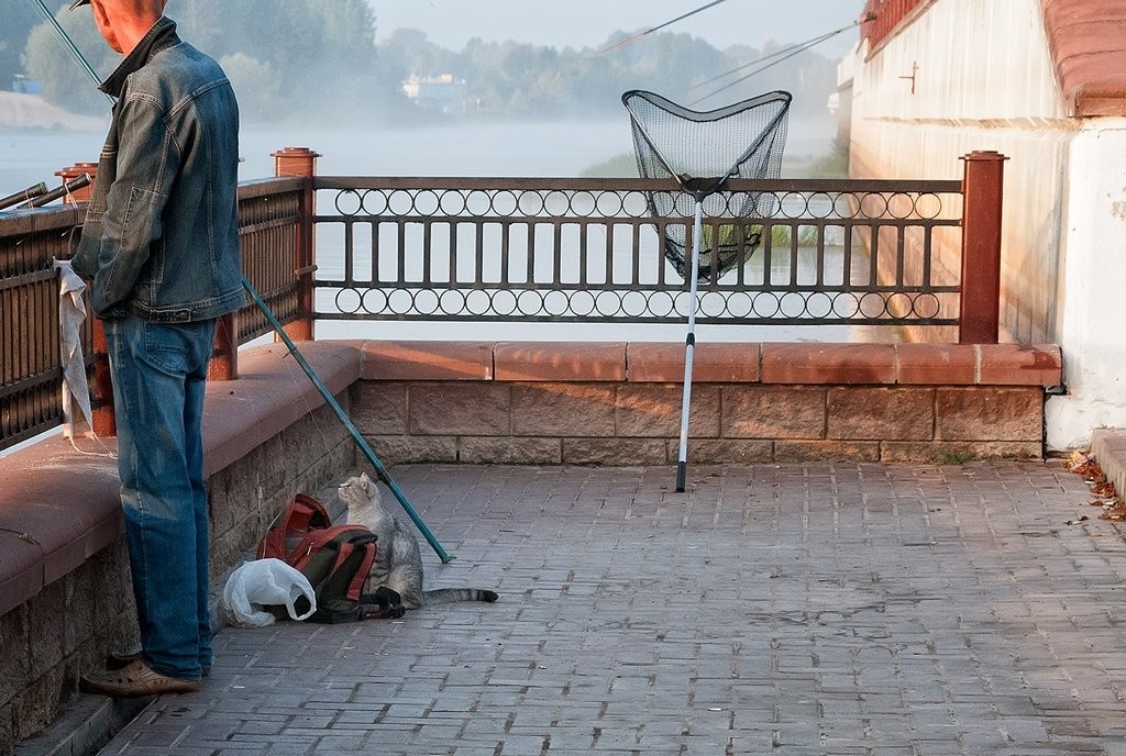 Летом будем ловить рыбу по новым правилам. Какие изменения ожидаются