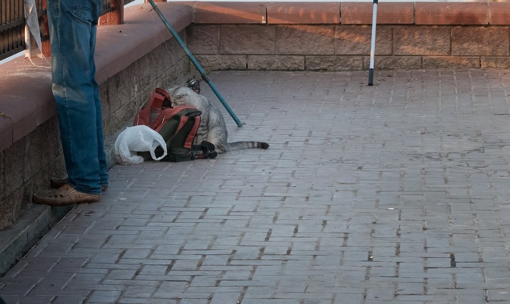 Летом будем ловить рыбу по новым правилам. Какие изменения ожидаются