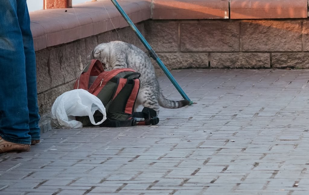 Летом будем ловить рыбу по новым правилам. Какие изменения ожидаются