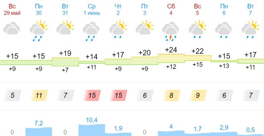 Какая погода ждет жителей Бреста на предстоящей неделе