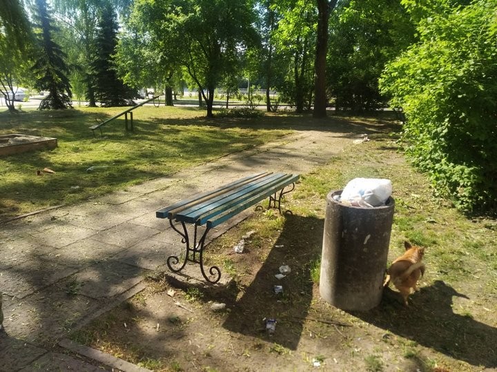 В Бресте мусоропроводы заваривают в приказном порядке