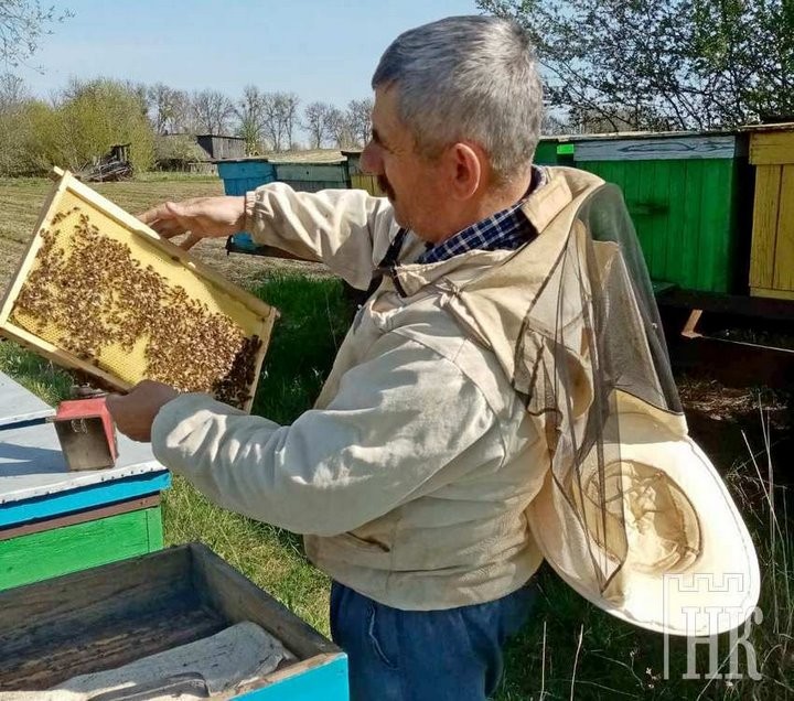 «Правильные пчелы» жителя Брестской области, который мечтает о возрождении общества пчеловодов