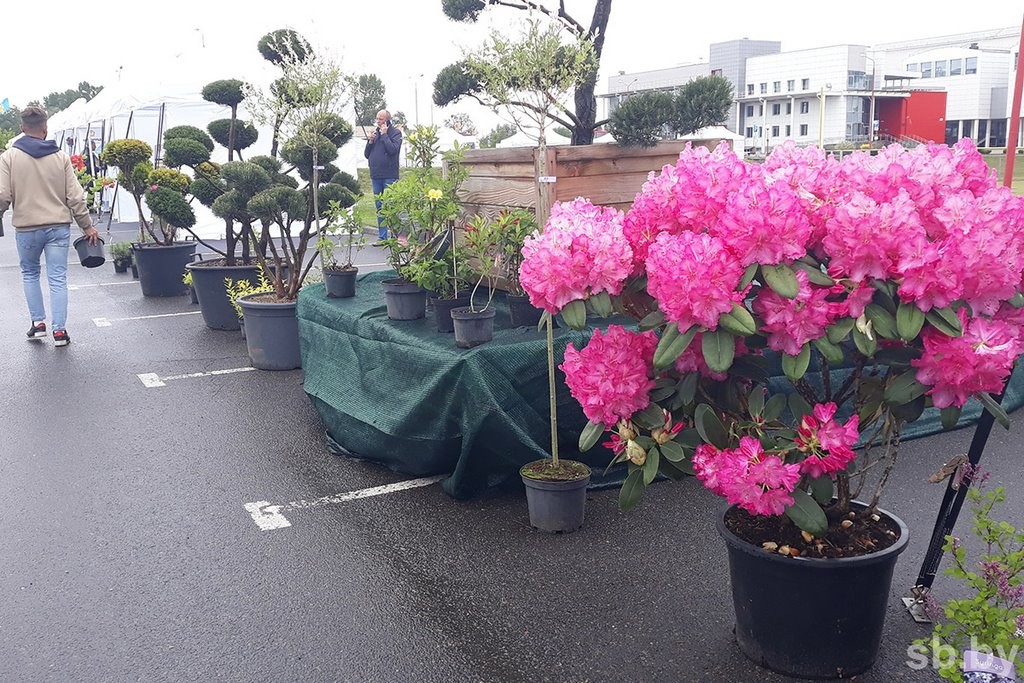 Министр ЖКХ назвал Брест одним из эталонов благоустройства в стране