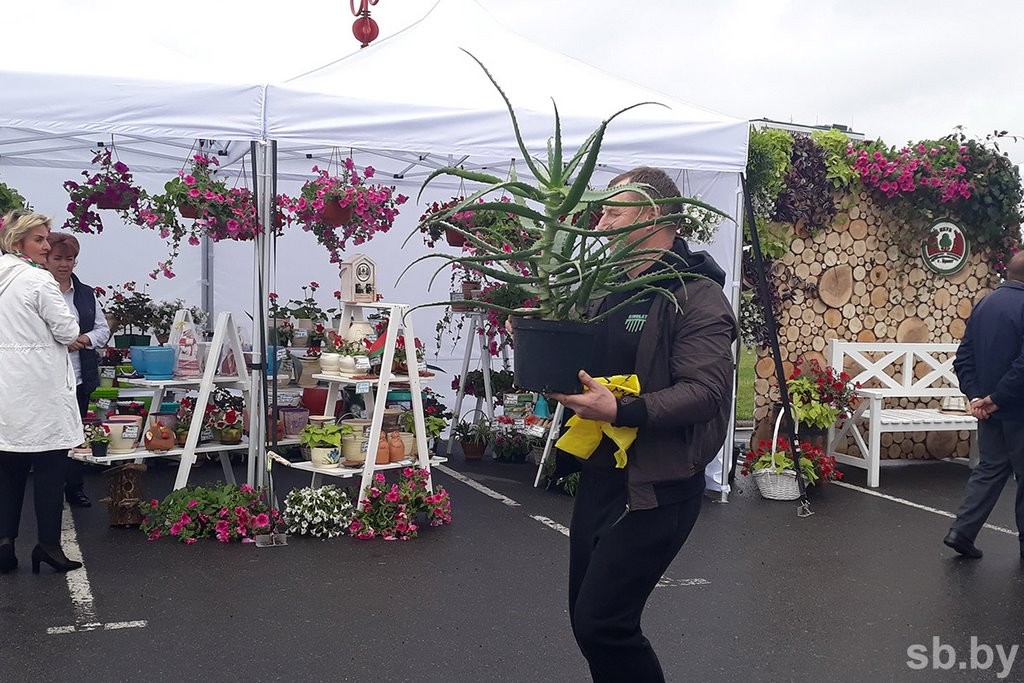 Министр ЖКХ назвал Брест одним из эталонов благоустройства в стране