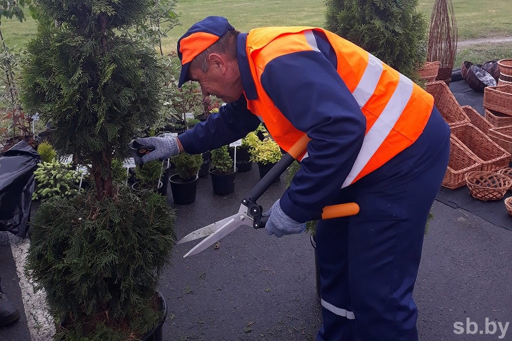 Министр ЖКХ назвал Брест одним из эталонов благоустройства в стране