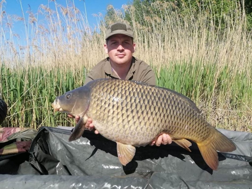 Ого какой! В Беларуси рыбаки поймали карпа весом почти 28 килограммов