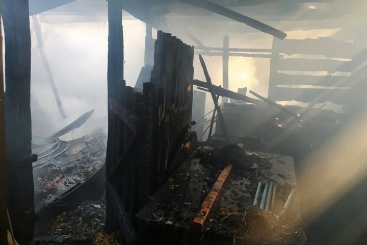 В Брестской области от удара молнии загорелся сарай