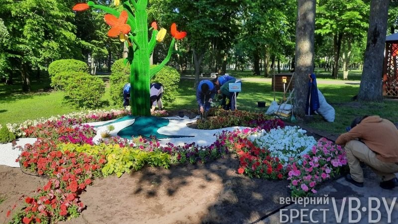 Ландшафт с большой буквы. В Бресте вышло на новый уровень понимание городского озеленения и благоустройства