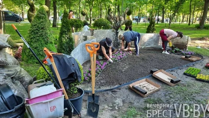 Ландшафт с большой буквы. В Бресте вышло на новый уровень понимание городского озеленения и благоустройства