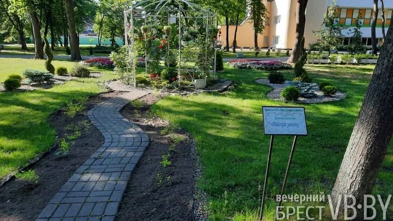 Ландшафт с большой буквы. В Бресте вышло на новый уровень понимание городского озеленения и благоустройства