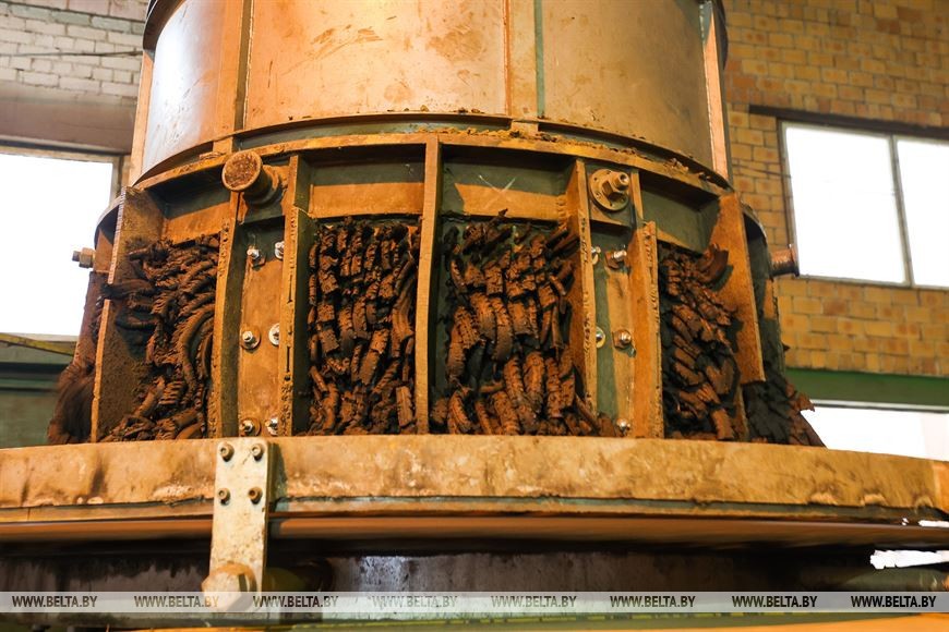 Смотрите, как в Столине прошел первый день фестиваля «Вытокі»