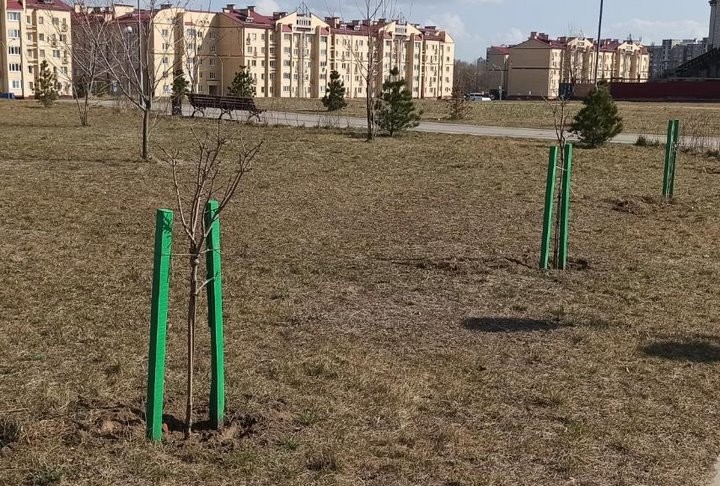 Парк 1000-летия Бреста включен в план субботника 16 апреля