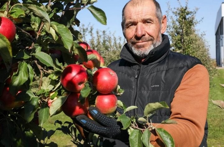 Фермер передал больше тонны яблок детям Пинского района