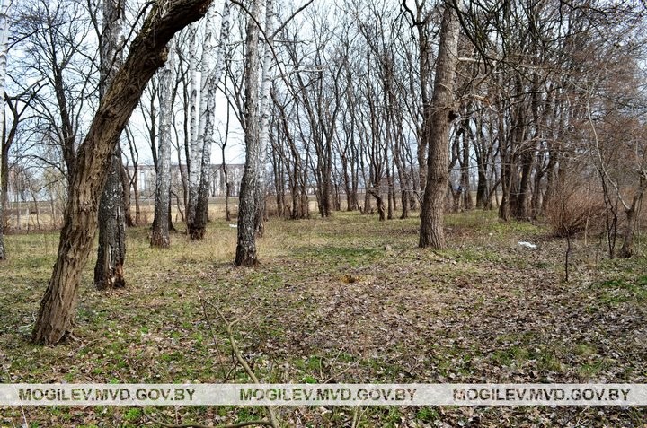 В Бобруйске нашли тело новорожденного мальчика, завернутого в женскую комбинацию и полиэтиленовый пакет