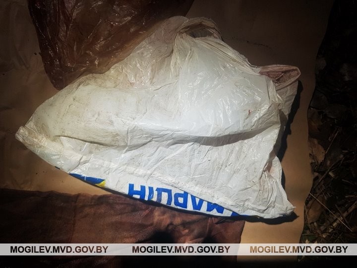 В Бобруйске нашли тело новорожденного мальчика, завернутого в женскую комбинацию и полиэтиленовый пакет