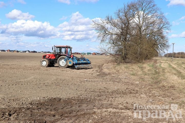 Аграрии Пинского района бьют тревогу. Что случилось?