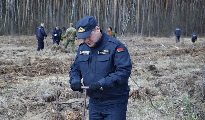 Сотрудники брестского управления СК высадили деревья в Кобринском лесхозе