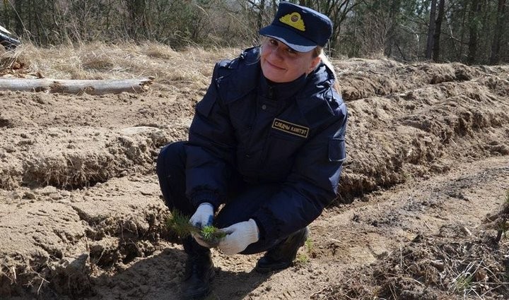 Сотрудники брестского управления СК высадили деревья в Кобринском лесхозе