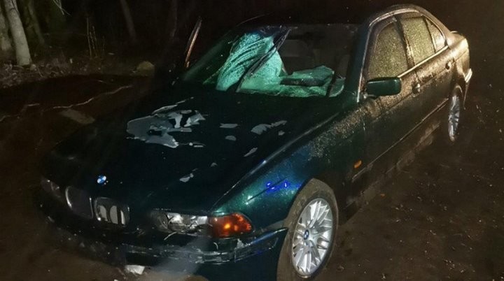 Пенсионер погиб под колесами BMW в Брестской области