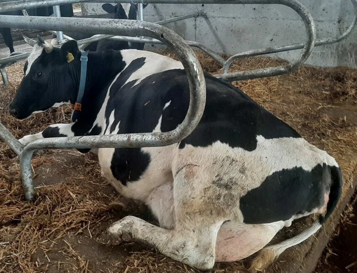 Фото из открытых источников (иллюстративное)