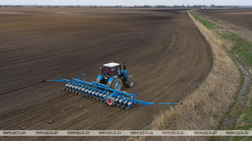 На Брестчине идёт посевная. Фотофакт