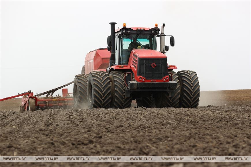 На Брестчине идёт посевная. Фотофакт