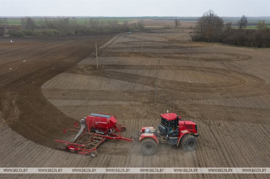 На Брестчине идёт посевная. Фотофакт
