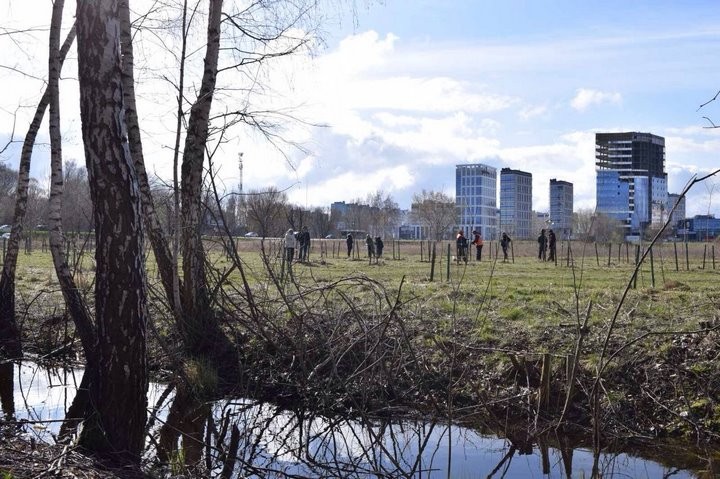 Более 50 тыс. брестчан вышли на республиканский субботник