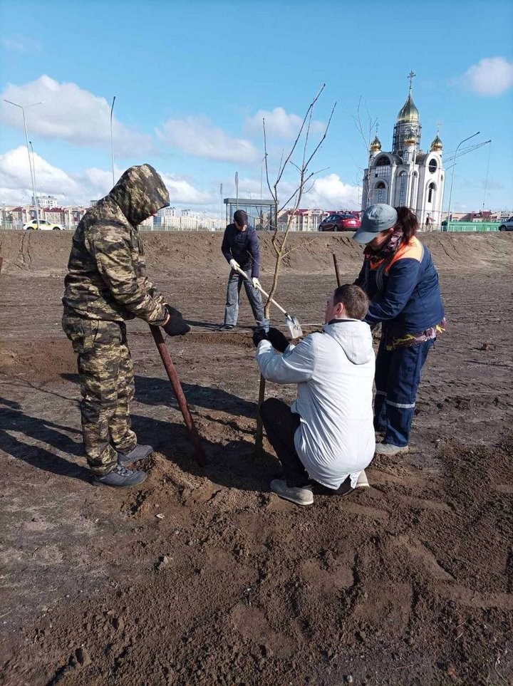 Более 50 тыс. брестчан вышли на республиканский субботник