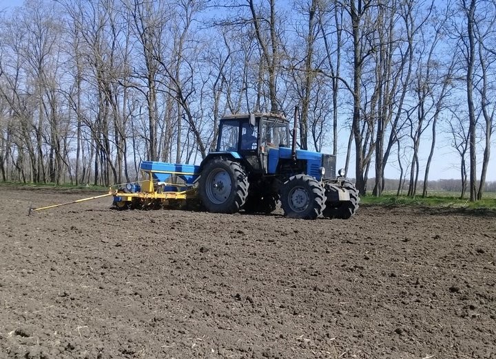 Фото из открытых источников (иллюстративное)