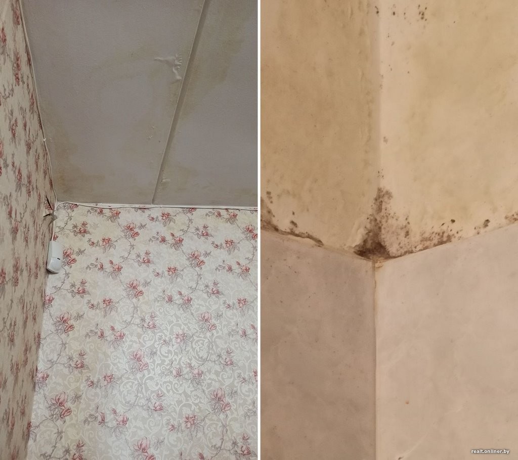 «Соседка заливает квартиру уже 20 лет, делаем ремонт за ремонтом». Белорусы попали в сложную ситуацию