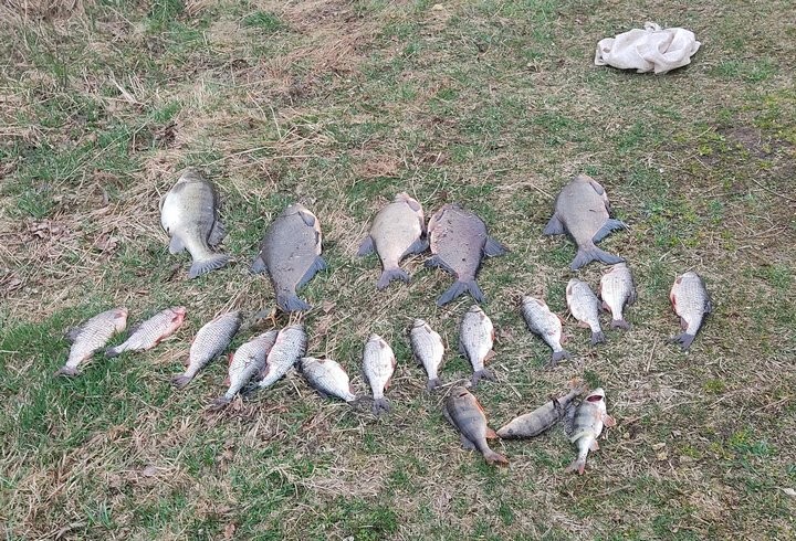 В Брестской области женщина наловила рыбы на 3700 рублей