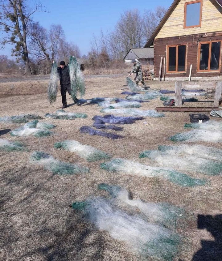 Госинспекция: граждане массово сдают сети. Добровольно!