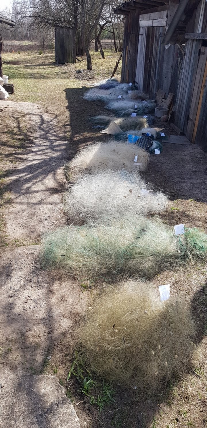 Госинспекция: граждане массово сдают сети. Добровольно!