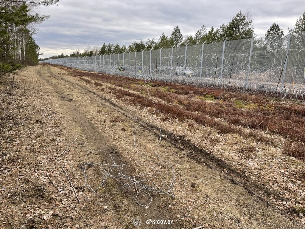 Погранкомитет: За неделю литовские пограничные заграждения «убили» четыре лося