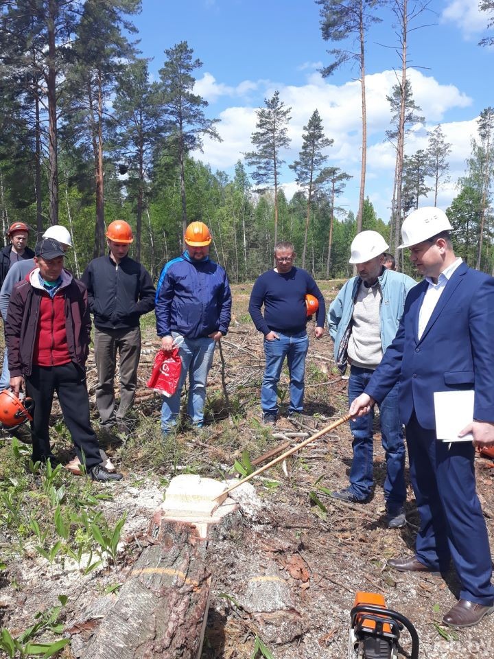 В Брестской области лесорубов учат безопасно работать