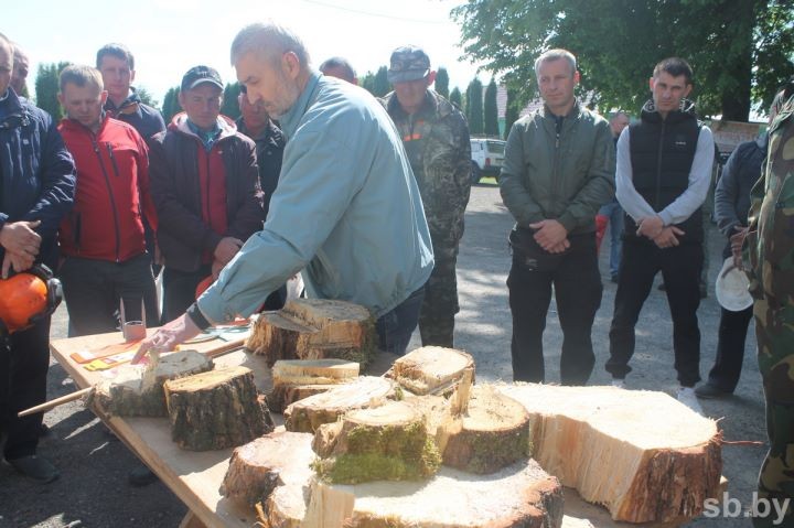 В Брестской области лесорубов учат безопасно работать