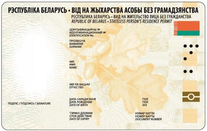 Как будут выглядеть биометрические документы