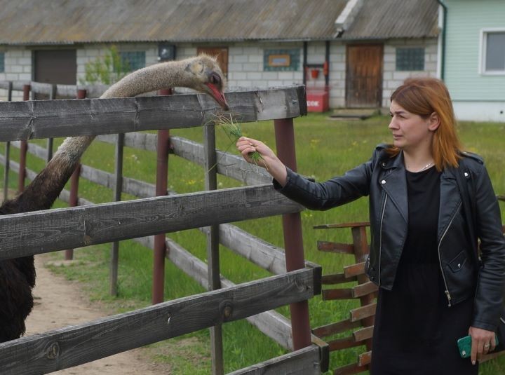 Молодые специалисты Жабинковского района отправились за опытом в брестские и кобринские хозяйства