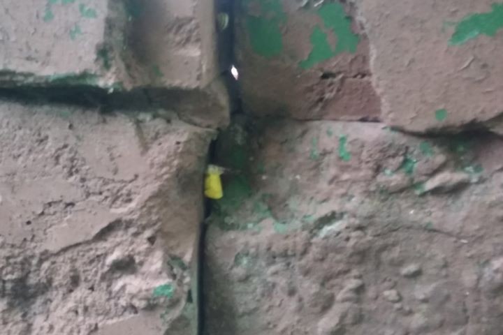 В Бресте задержаны школьники-наркокурьеры