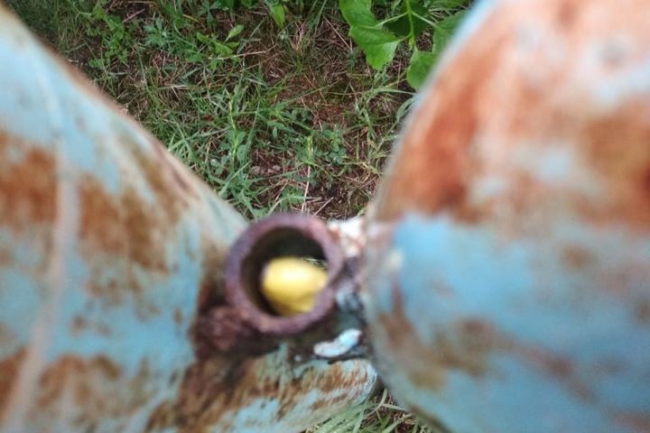 Суд в Бресте приговорил закладчика психотропов к 12 годам колонии