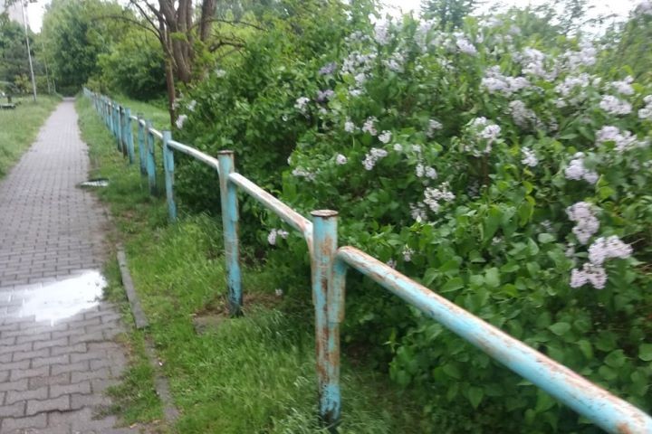 В Бресте задержаны школьники-наркокурьеры