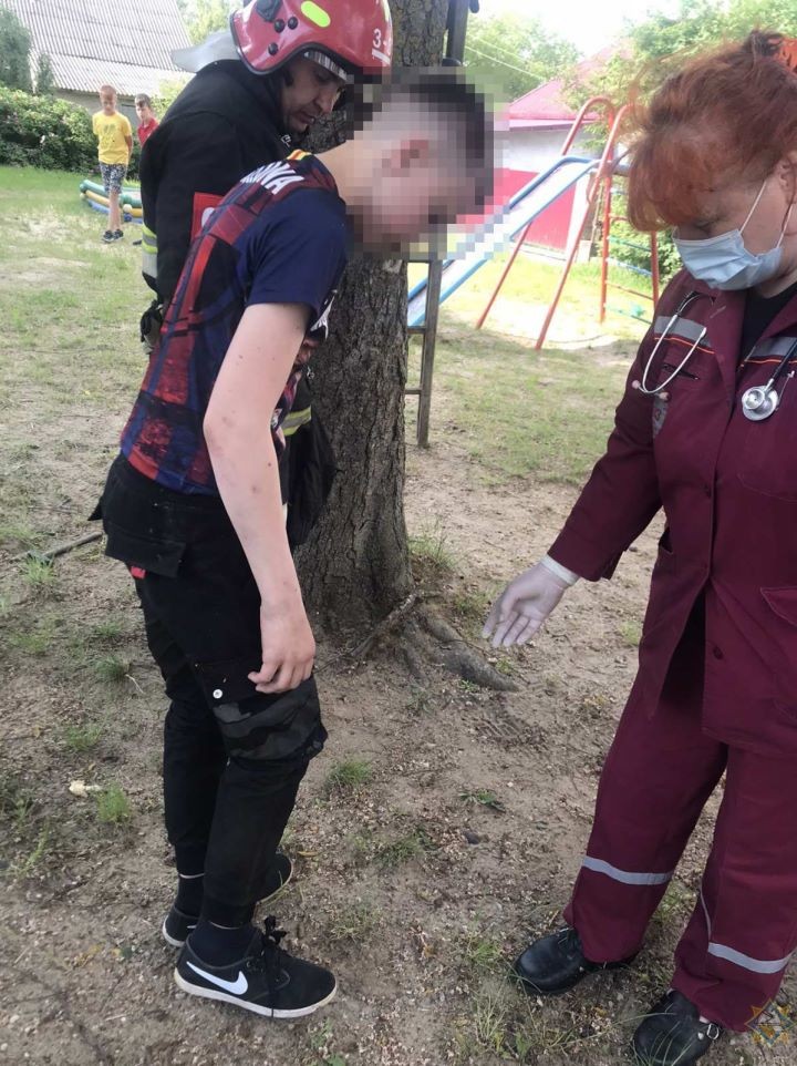 Подросток застрял в стволе дерева в Волковысском районе