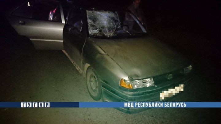 В Брестской области женщина на легковушке насмерть сбила пешехода