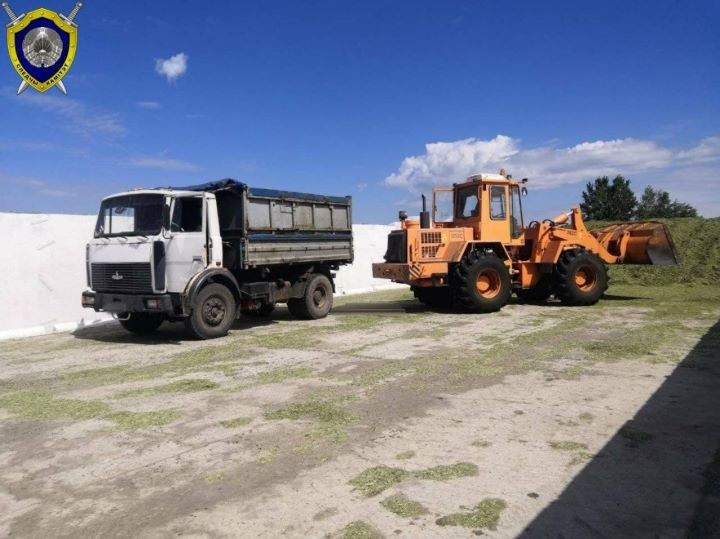 В Дрогичинском районе смертельно травмирован водитель грузовика