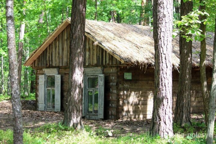 В Ивановском районе реконструировали партизанскую стоянку